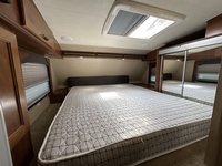 Palomino Campeur for sale in Terrebonne
