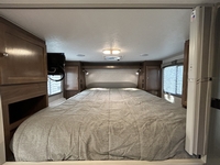 Palomino Campeur for sale in Terrebonne