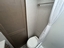 Palomino Campeur for sale in Lanoraie