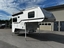 Palomino Campeur for sale in Lanoraie
