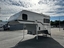 Palomino Campeur for sale in Lanoraie