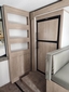 Palomino Campeur for sale in Lanoraie