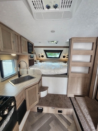 Palomino Campeur for sale in Lanoraie