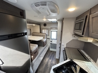 Palomino Campeur for sale in Terrebonne