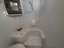 Palomino Campeur for sale in Lanoraie