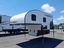 Palomino Campeur for sale in Lanoraie