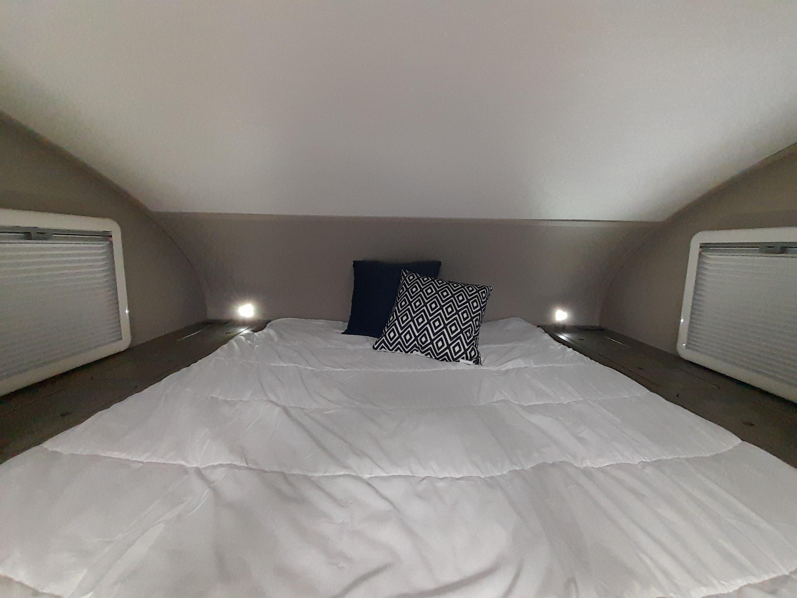 Palomino Campeur for sale in Lanoraie