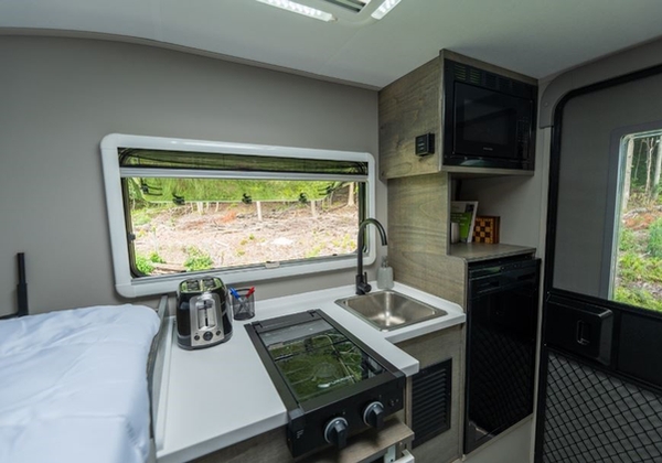 Palomino Campeur for sale in Lanoraie