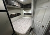 Palomino Campeur for sale in Lanoraie
