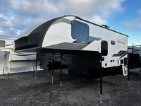 Palomino Campeur for sale in Terrebonne
